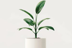 product 04