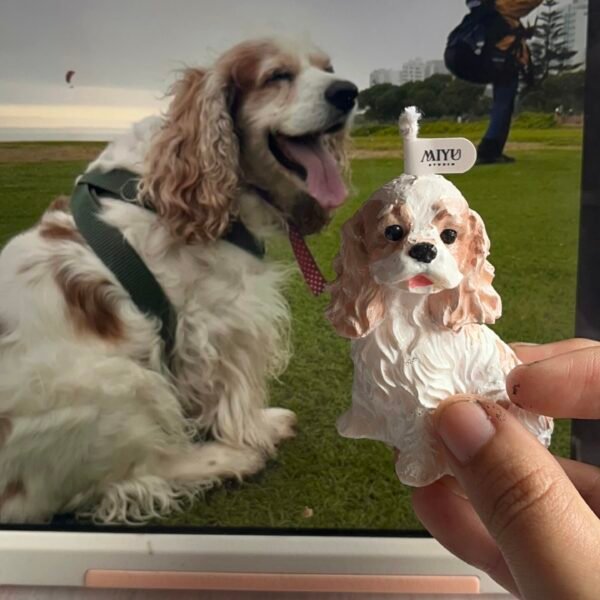 vela cocker miyu studio