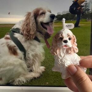 vela cocker miyu studio