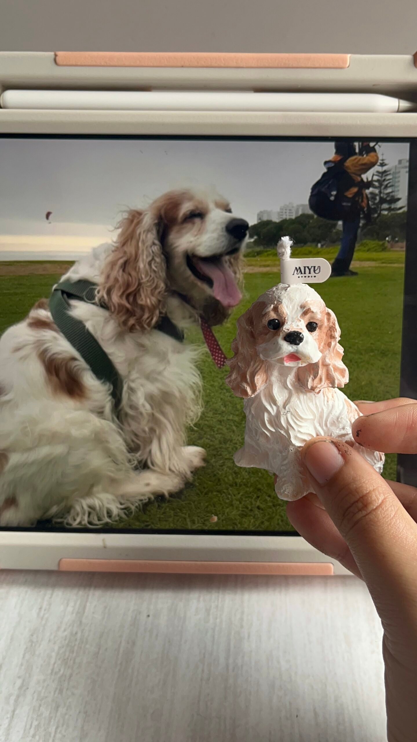 vela cocker miyu studio vela cocker miyu studio