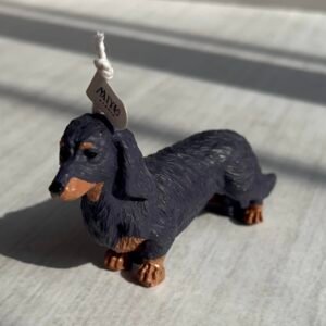 vela perro salchicha miyu studio