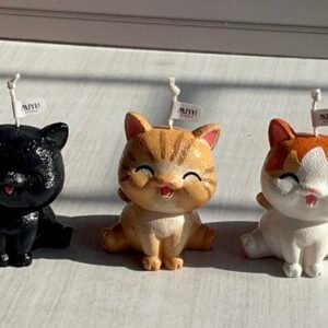 vela gato bonito miyu