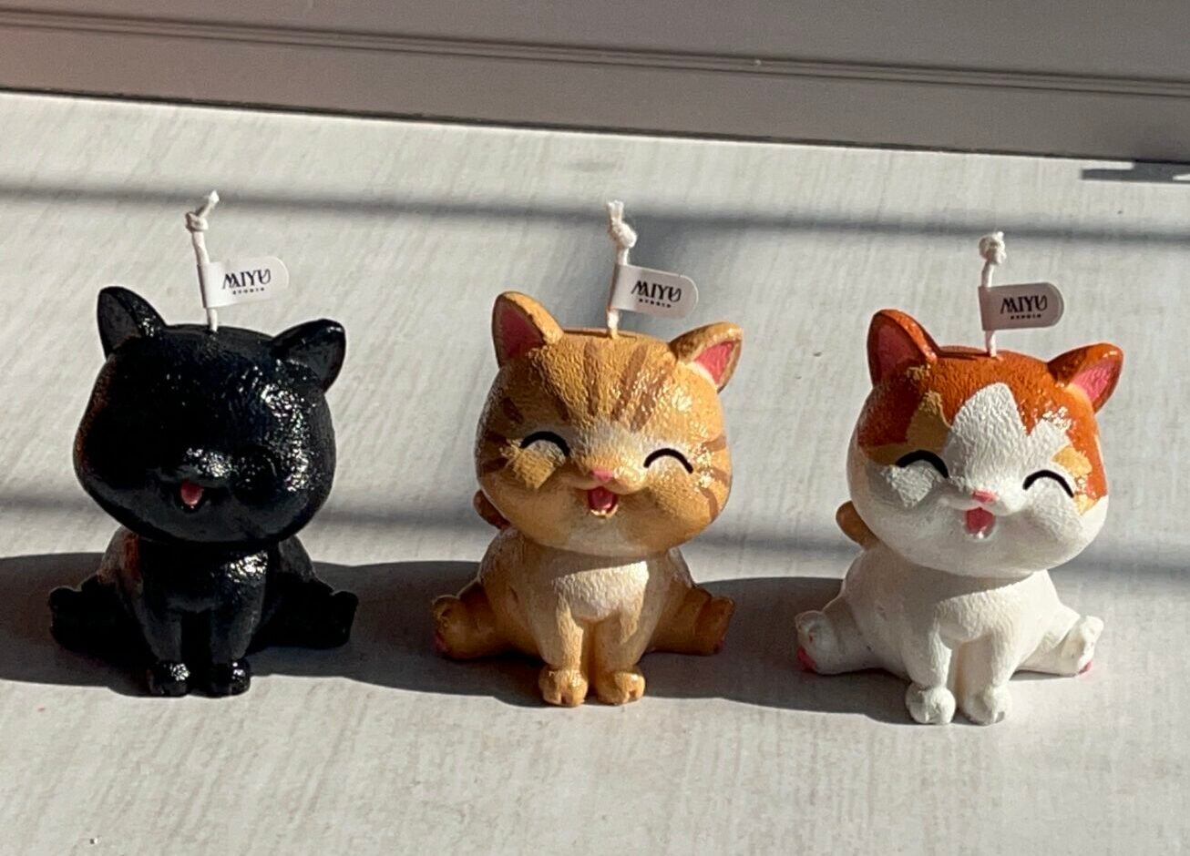 50 vela gato bonito miyu