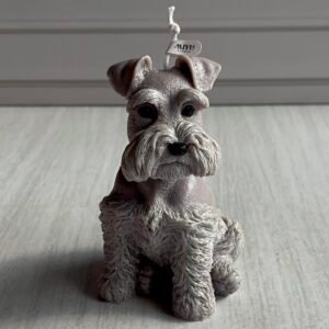 Inicio vela schanuzer miyu