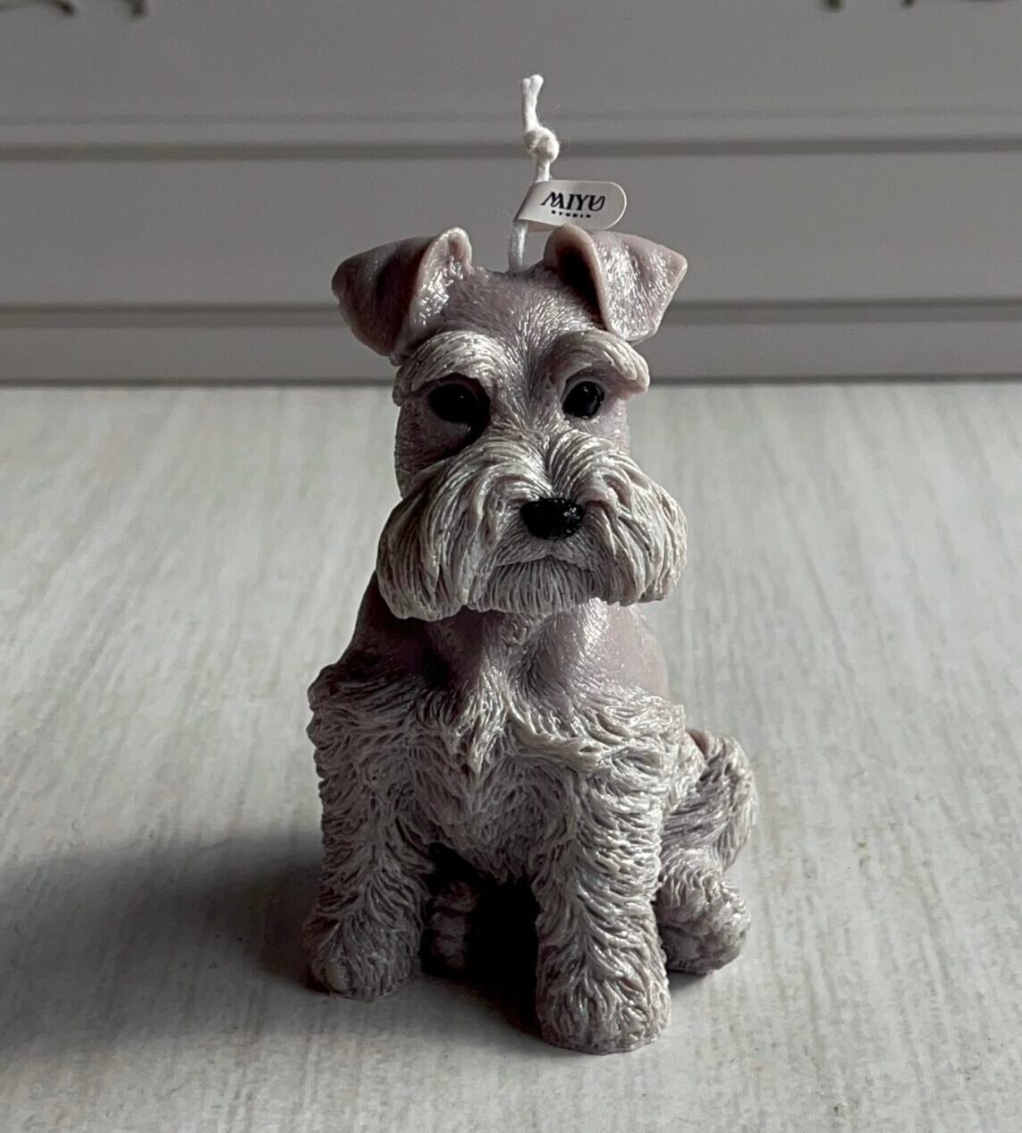vela schanuzer miyu vela schanuzer miyu