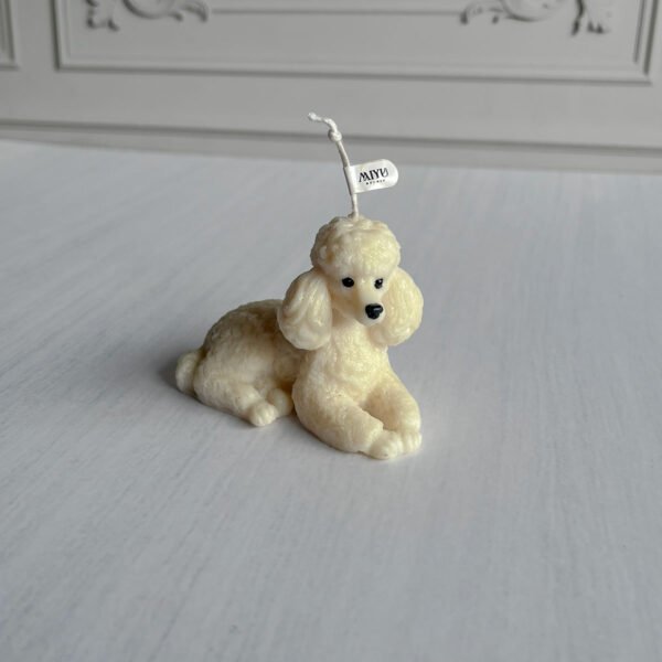 vela poodle vela poodle