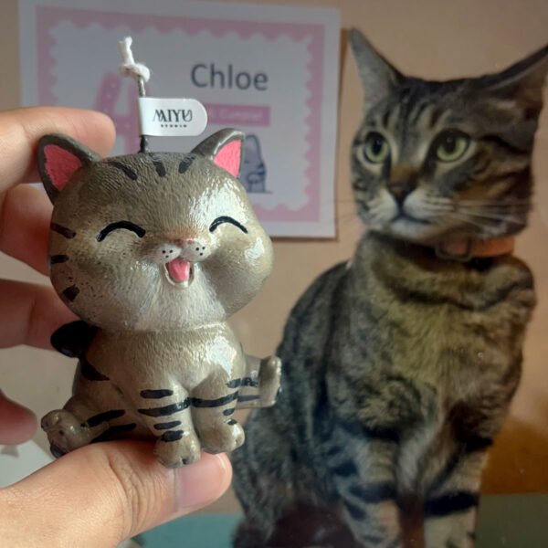 gato personalizado 2 gato personalizado 2