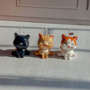 gatos personalizados