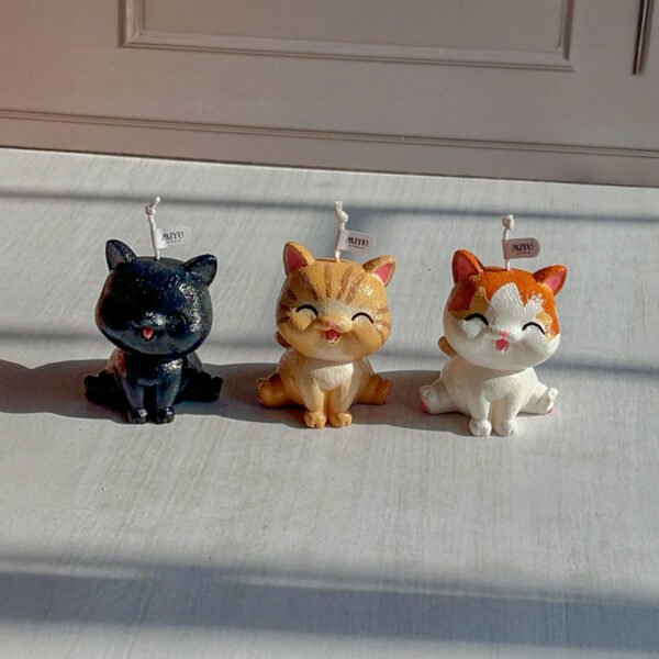 gatos personalizados gatos personalizados