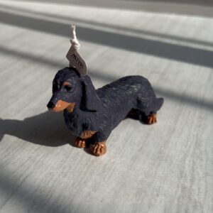 vela perro salchicha