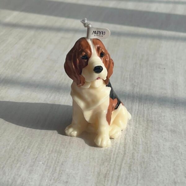 Inicio vela beagle miyu studio