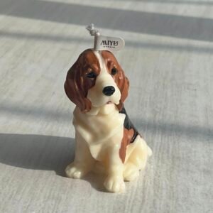 Inicio vela beagle miyu studio