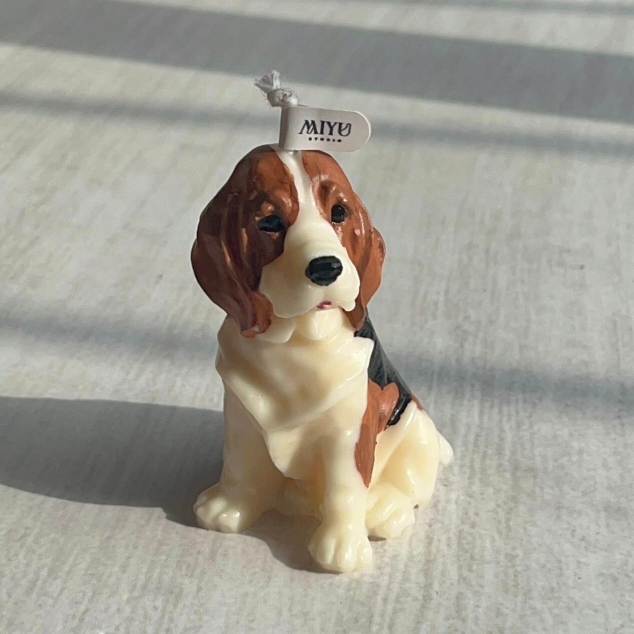 vela beagle miyu studio vela beagle miyu studio