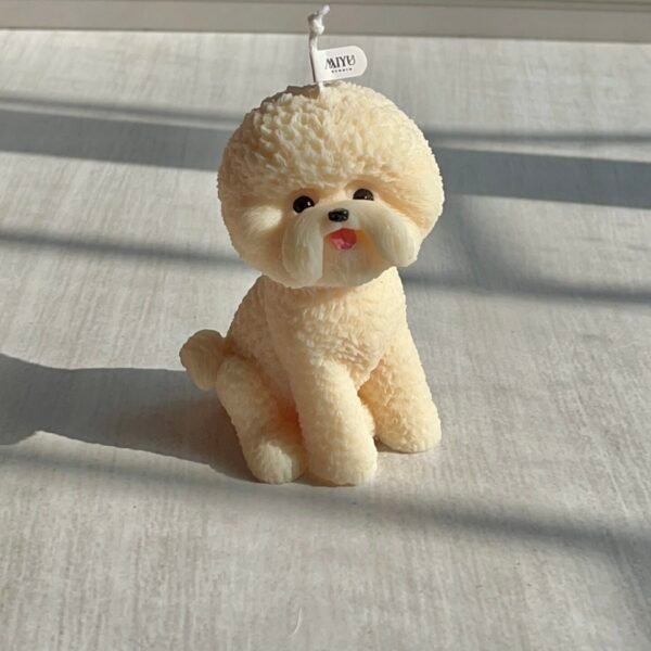 vela bichón frissé