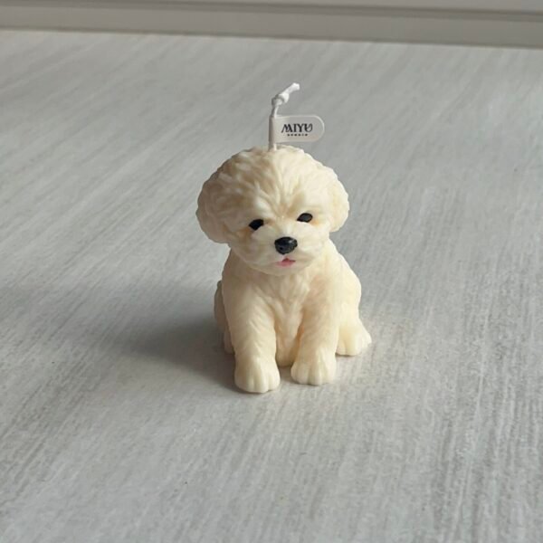 Inicio vela bichon blanco