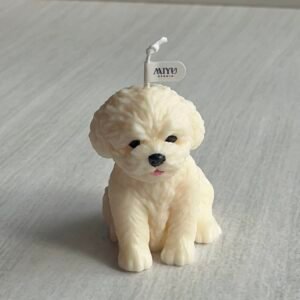 Inicio vela bichon blanco