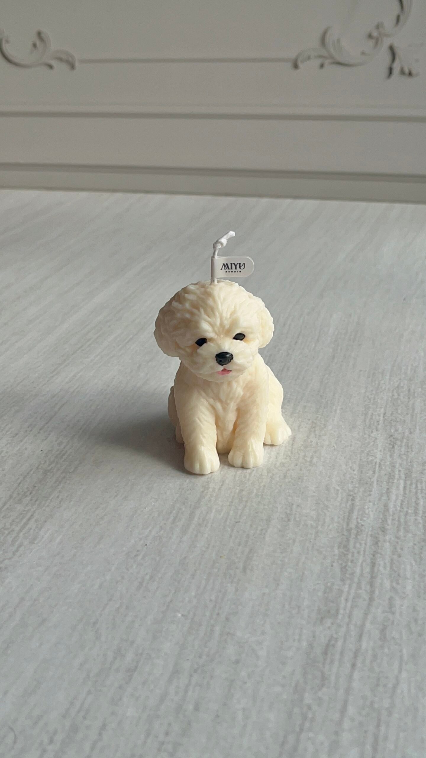 vela bichon blanco vela bichon blanco