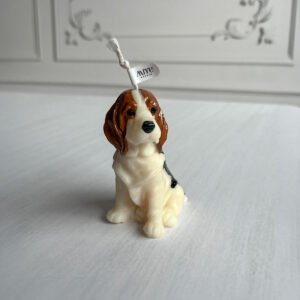 vela beagle