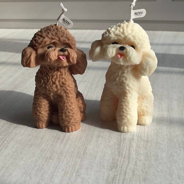 vela caniche (poodle)