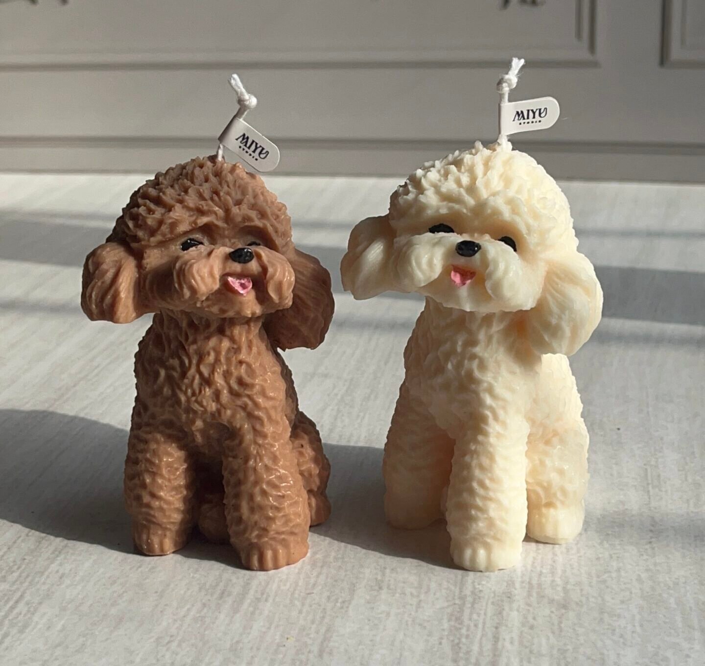 vela caniche (poodle) vela caniche (poodle)