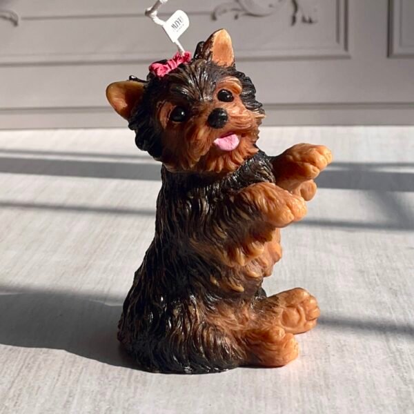 vela yorkshire miyu studio