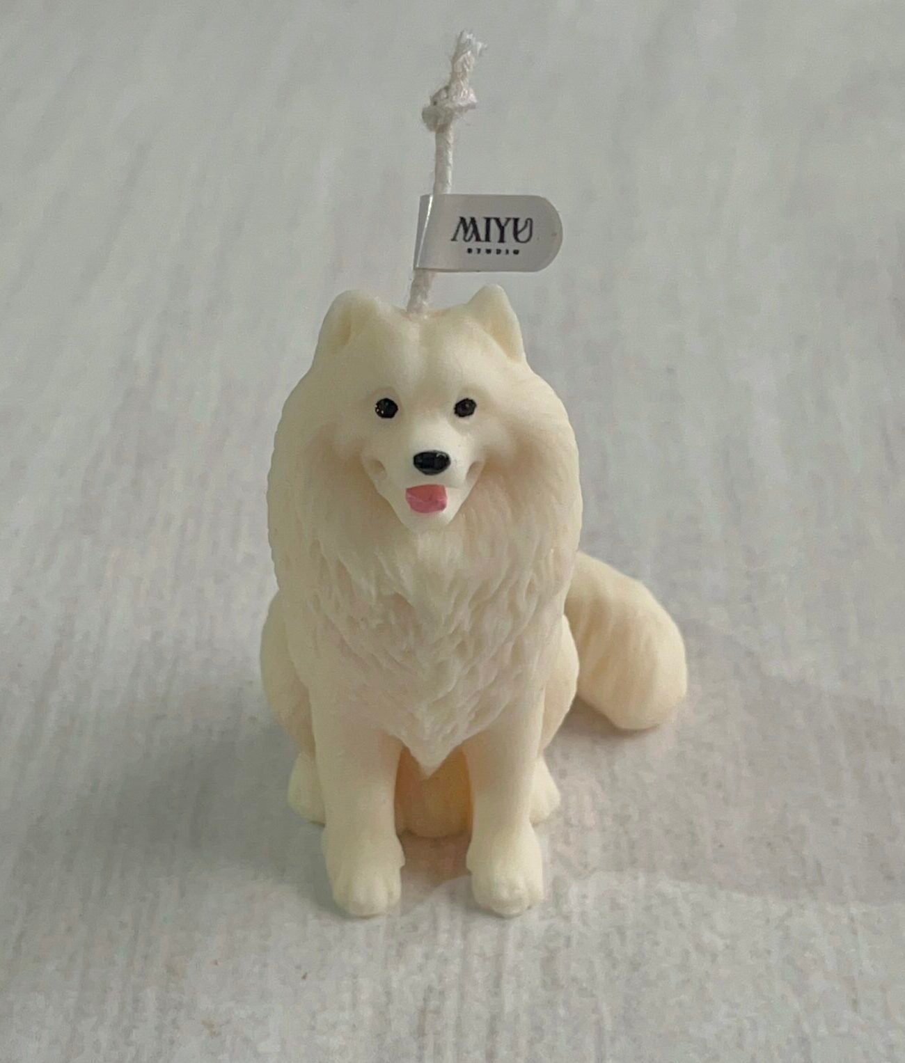 vela samoyedo miyu studio vela samoyedo miyu studio