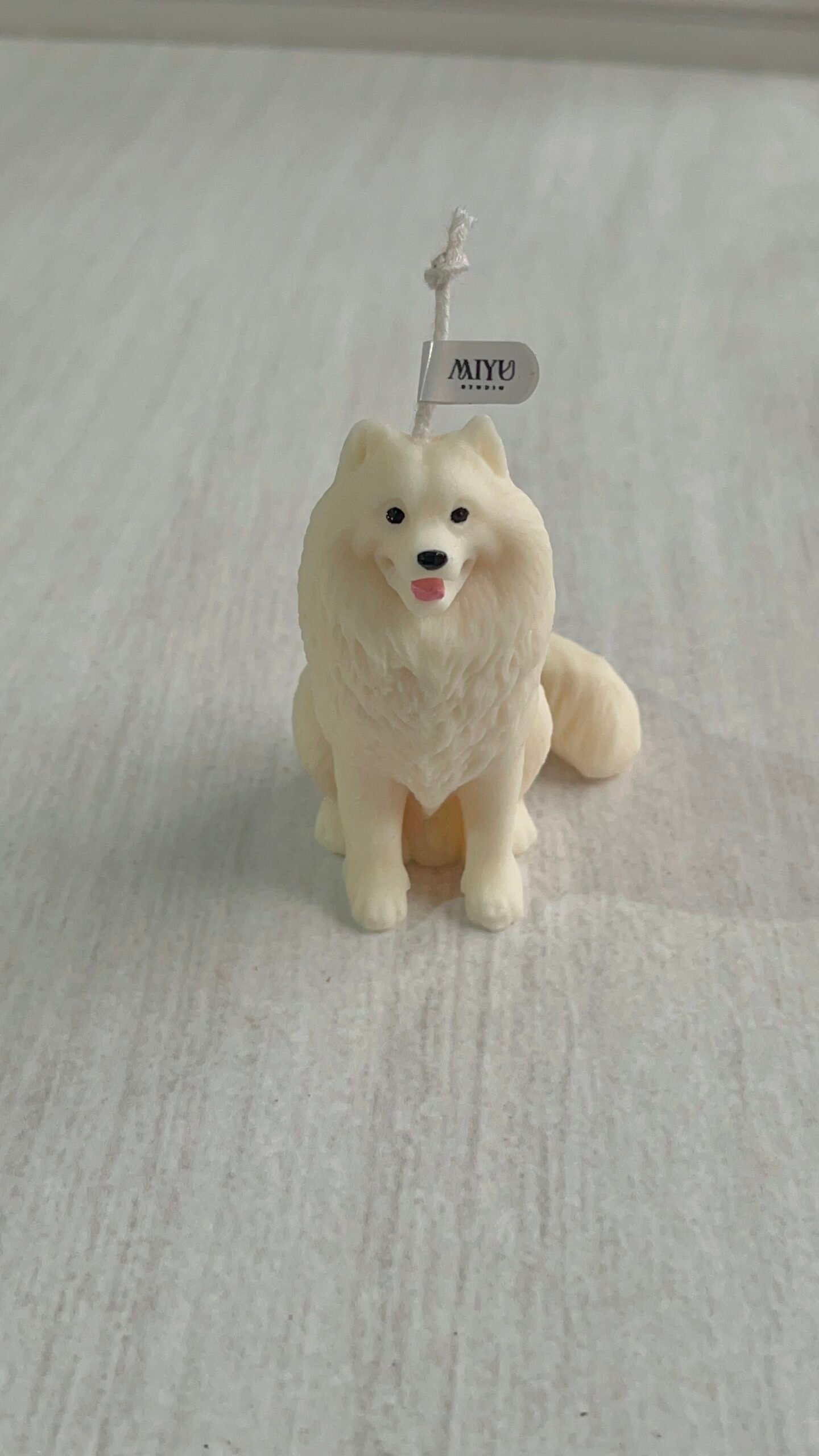 vela samoyedo miyu studio vela samoyedo miyu studio