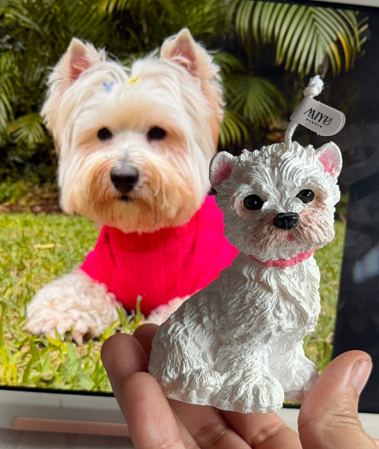 vela terrier vela terrier