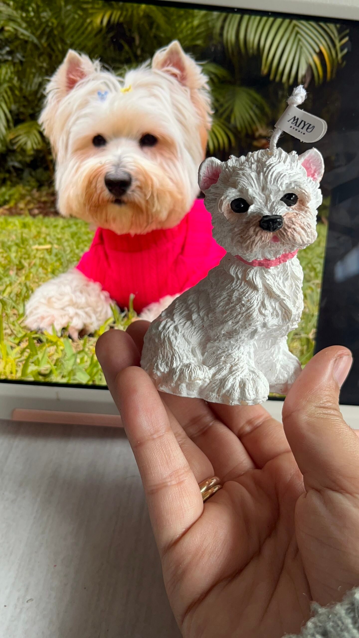 vela terrier vela terrier