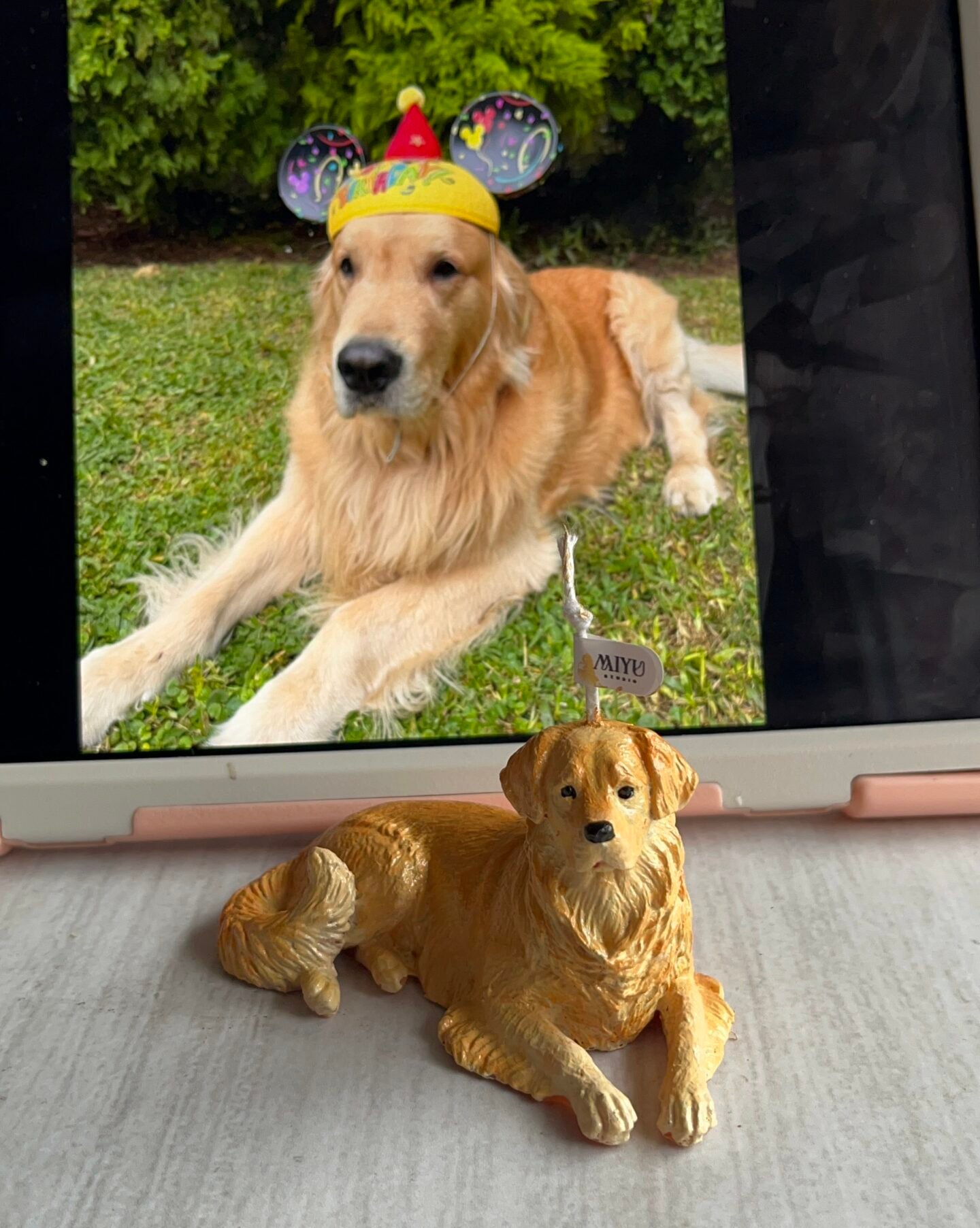vela golden retriever miyu studio vela golden retriever miyu studio
