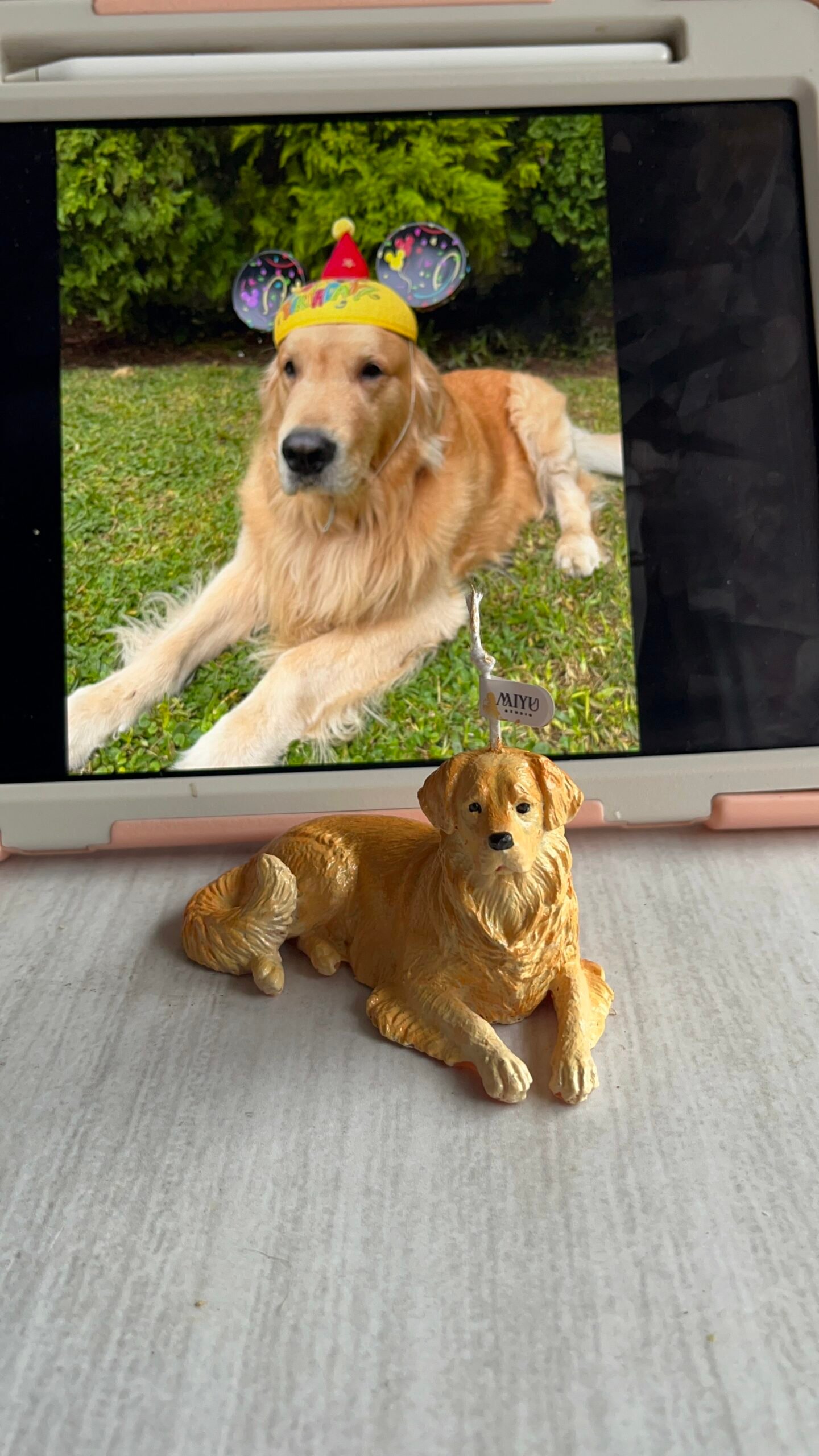 vela golden retriever miyu studio vela golden retriever miyu studio