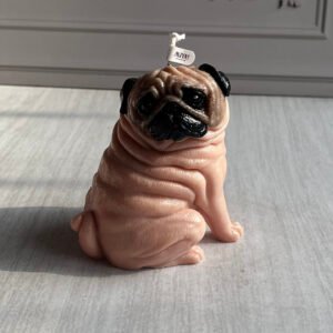 vela pug miyu studio