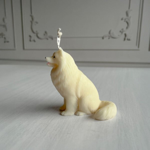 samoyedo costado samoyedo costado