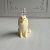 samoyedo frontal samoyedo frontal