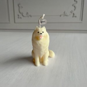 samoyedo frontal