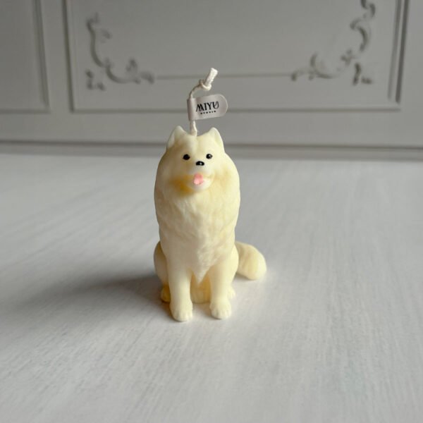 samoyedo frontal samoyedo frontal