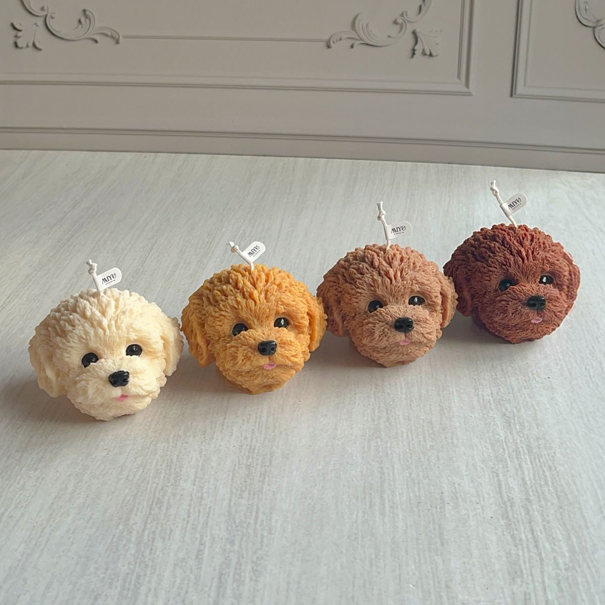 cabezas de bichon cabezas de bichon