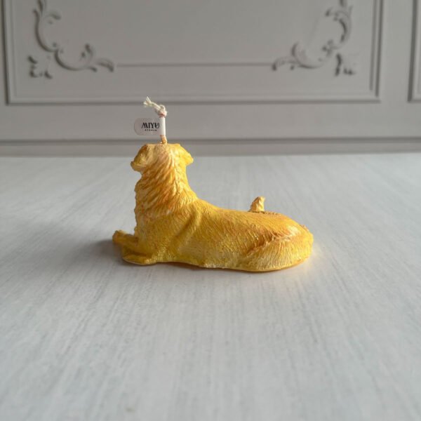 golden retriever atras golden retriever atras