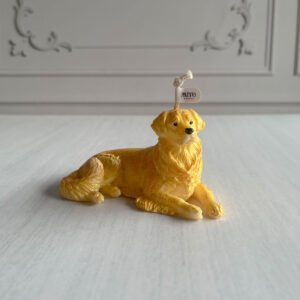 golden retriever frontal