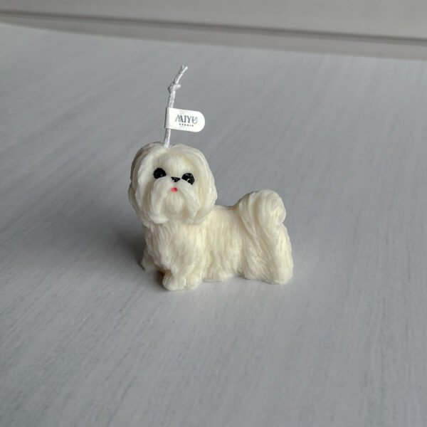 shih tzu shih tzu